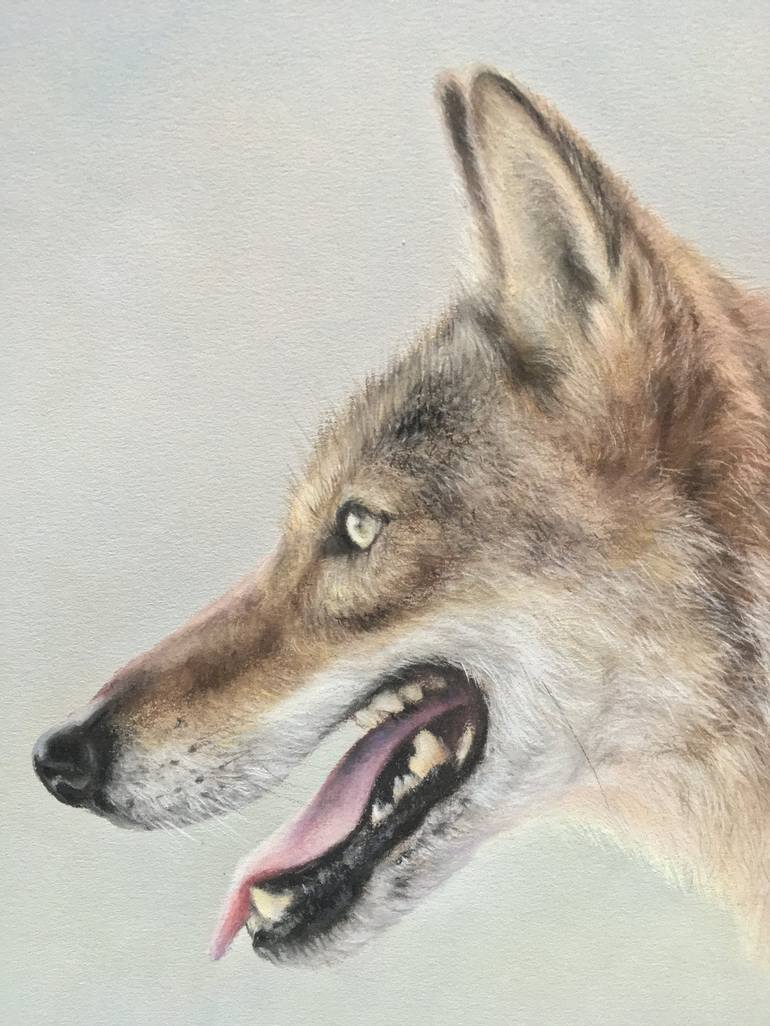 Original Realism Animal Drawing by Juan Pastor de la Puente