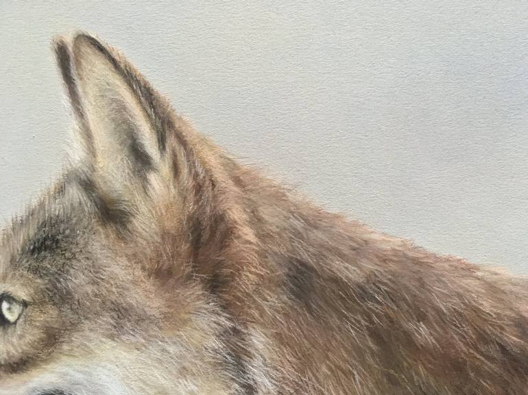 Original Realism Animal Drawing by Juan Pastor de la Puente