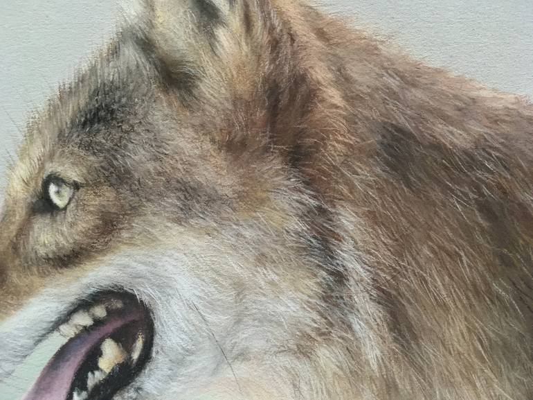 Original Realism Animal Drawing by Juan Pastor de la Puente