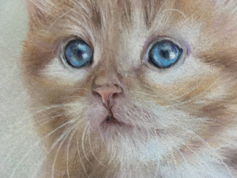 Original Realism Animal Drawing by Juan Pastor De La Puente