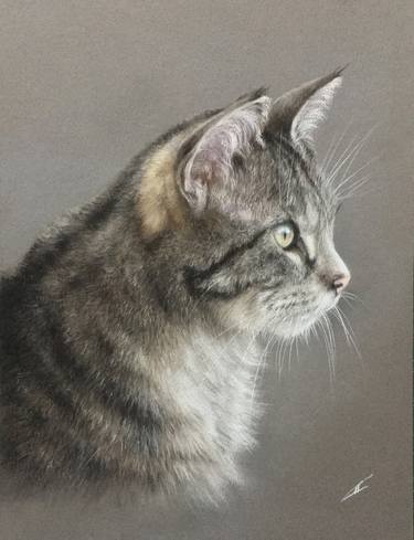 Original Realism Animal Drawings by Juan Pastor de la Puente