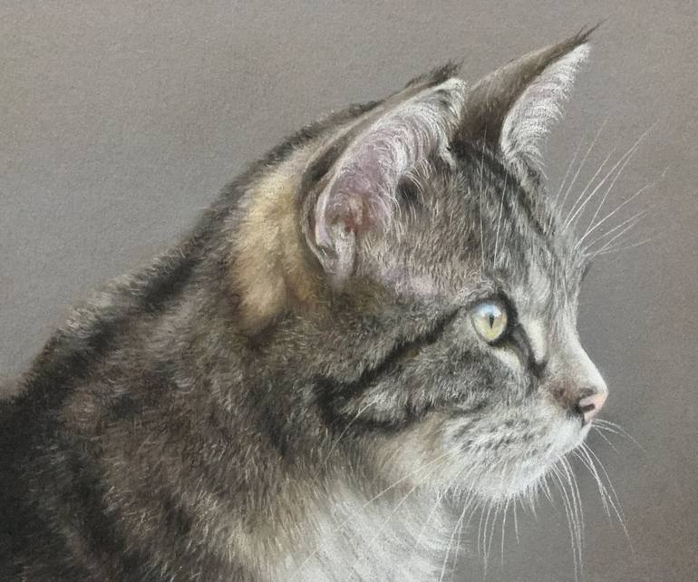 Original Realism Animal Drawing by Juan Pastor De La Puente