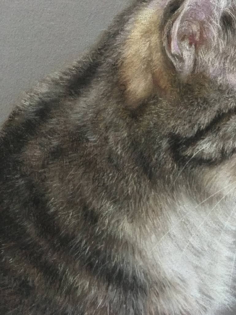 Original Realism Animal Drawing by Juan Pastor De La Puente
