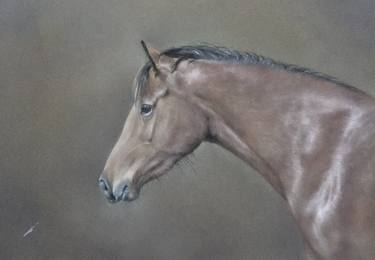 Original Realism Animal Drawings by Juan Pastor de la Puente