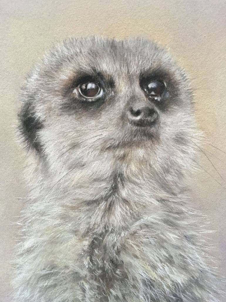 Original Realism Animal Drawing by Juan Pastor de la Puente