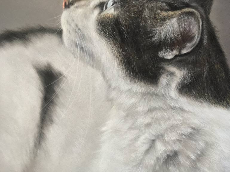 Original Realism Animal Drawing by Juan Pastor De La Puente
