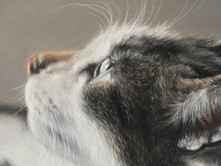 Original Realism Animal Drawing by Juan Pastor De La Puente