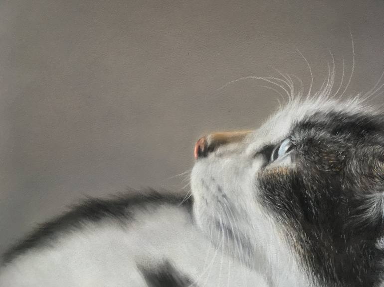 Original Realism Animal Drawing by Juan Pastor De La Puente