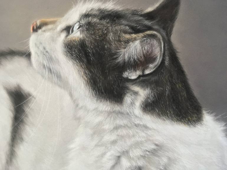 Original Realism Animal Drawing by Juan Pastor De La Puente