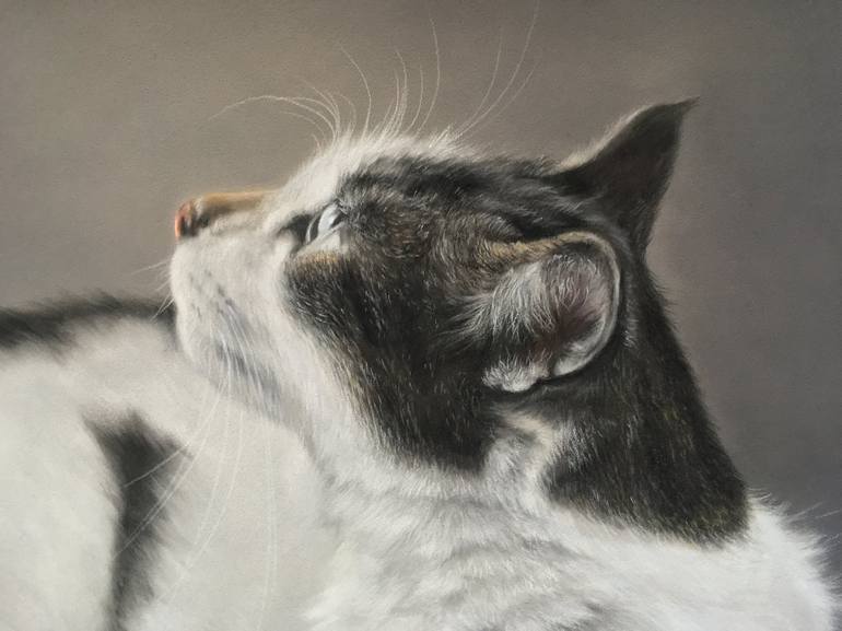 Original Realism Animal Drawing by Juan Pastor De La Puente