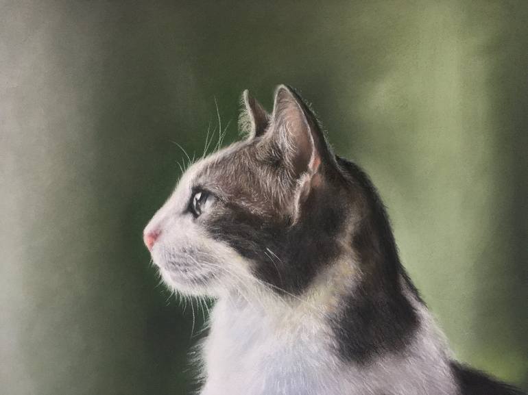 Original Realism Animal Drawing by Juan Pastor De La Puente