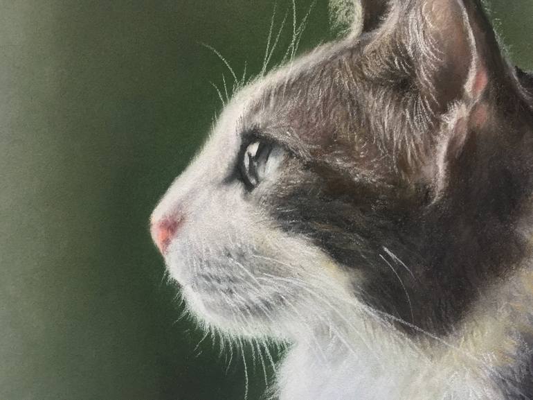 Original Realism Animal Drawing by Juan Pastor De La Puente