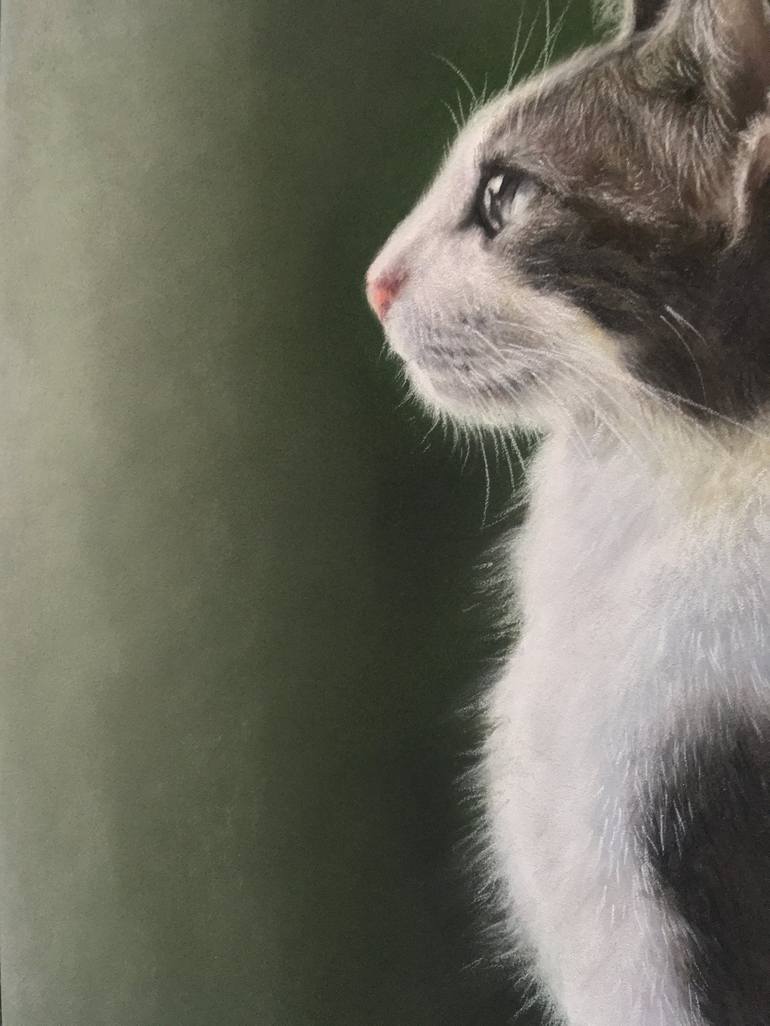 Original Realism Animal Drawing by Juan Pastor De La Puente