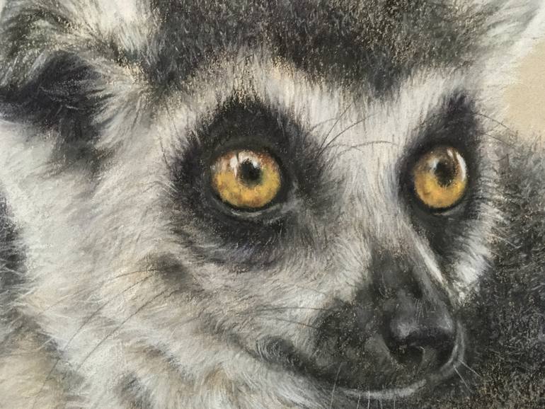 Original Realism Animal Drawing by Juan Pastor De La Puente