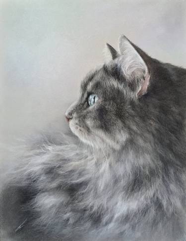 Original Realism Animal Drawings by Juan Pastor De La Puente