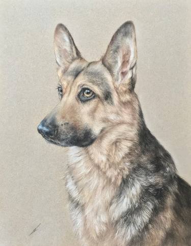 Original Realism Animal Drawings by Juan Pastor De La Puente