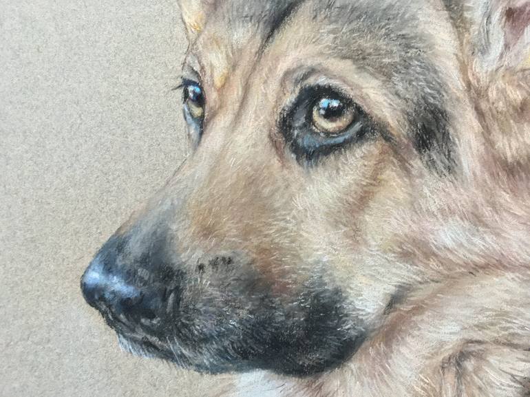 Original Realism Animal Drawing by Juan Pastor De La Puente