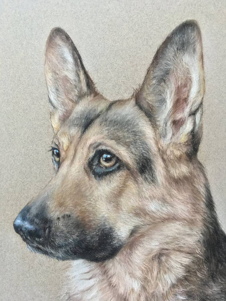 Original Realism Animal Drawing by Juan Pastor De La Puente