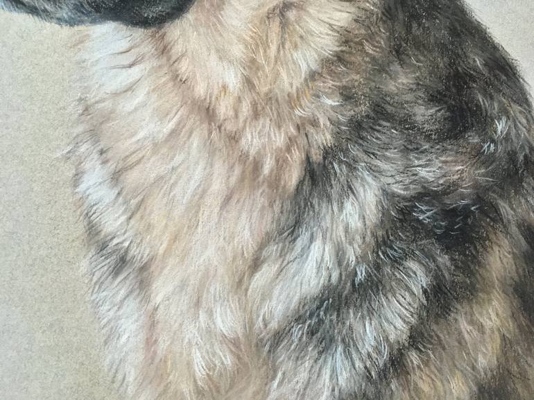 Original Realism Animal Drawing by Juan Pastor De La Puente
