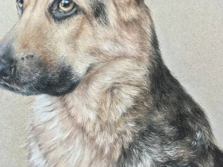 Original Realism Animal Drawing by Juan Pastor De La Puente