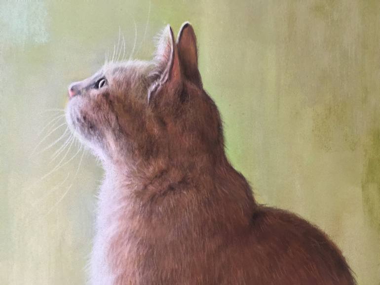 Original Realism Animal Drawing by Juan Pastor De La Puente