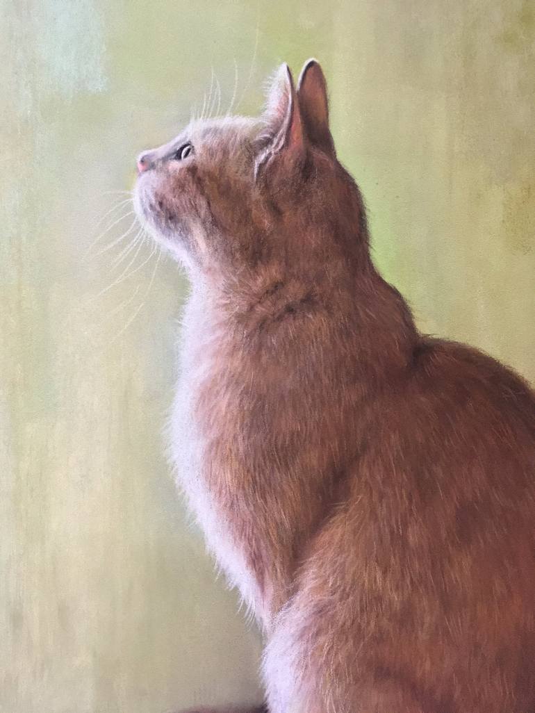 Original Realism Animal Drawing by Juan Pastor De La Puente