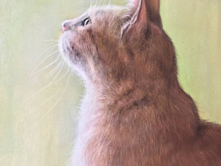 Original Realism Animal Drawing by Juan Pastor De La Puente
