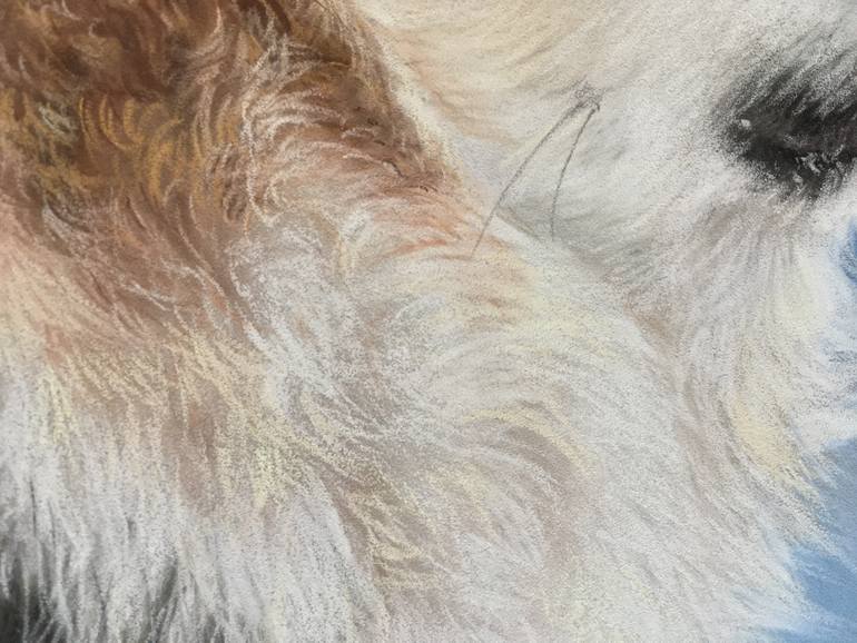 Original Realism Animal Drawing by Juan Pastor De La Puente