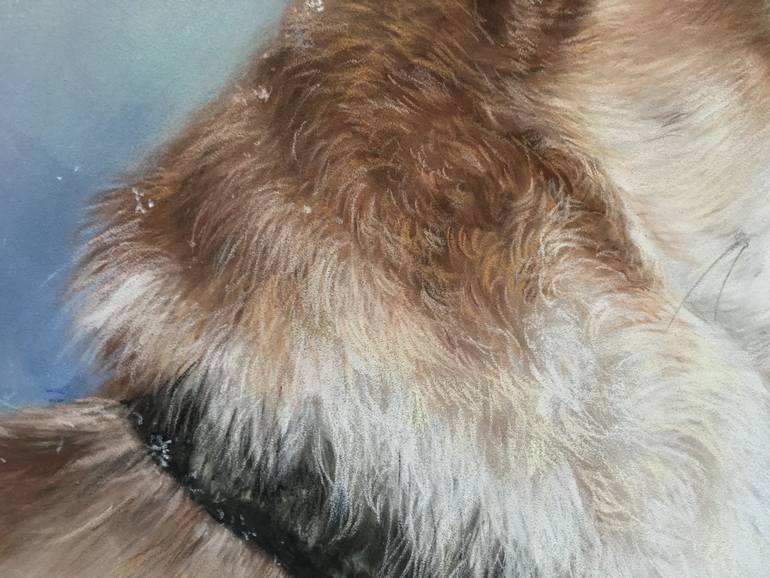 Original Realism Animal Drawing by Juan Pastor De La Puente