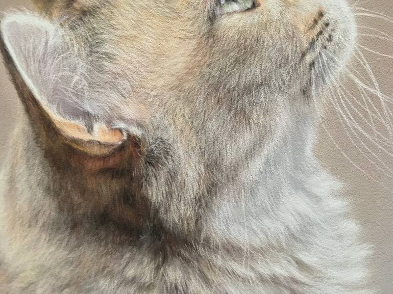 Original Realism Animal Drawing by Juan Pastor De La Puente