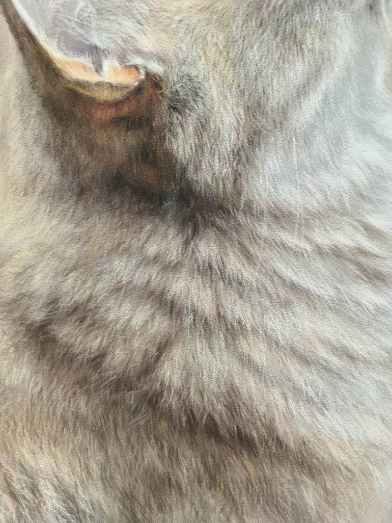 Original Realism Animal Drawing by Juan Pastor De La Puente
