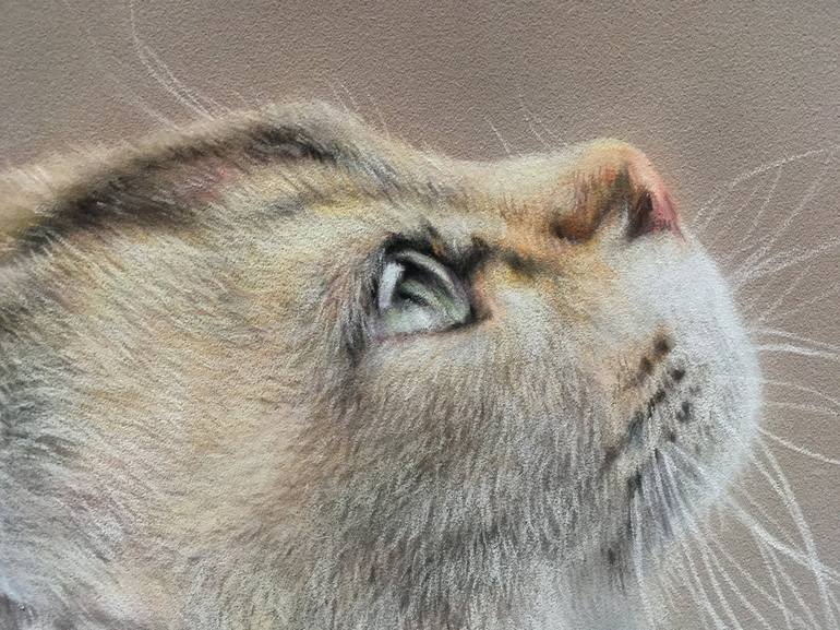 Original Realism Animal Drawing by Juan Pastor De La Puente