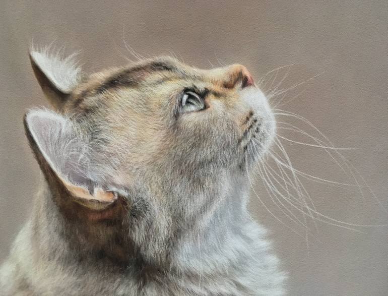 Original Realism Animal Drawing by Juan Pastor De La Puente