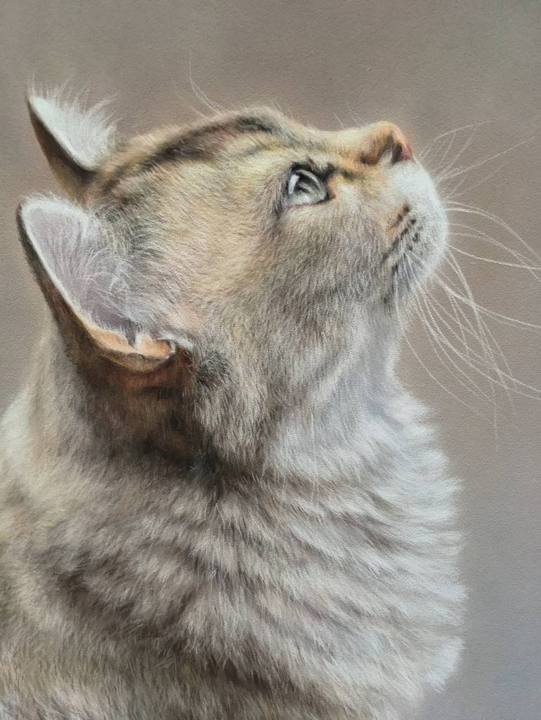 Original Realism Animal Drawing by Juan Pastor De La Puente