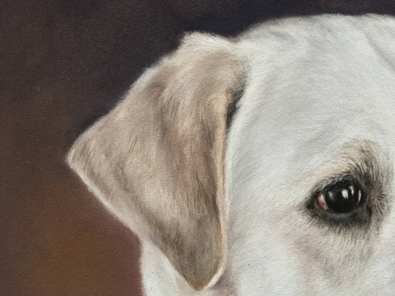 Original Realism Animal Drawing by Juan Pastor De La Puente