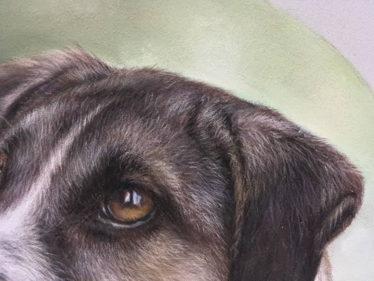 Original Realism Animal Drawing by Juan Pastor De La Puente