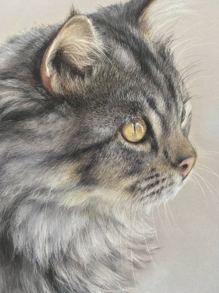 Original Realism Animal Drawing by Juan Pastor De La Puente