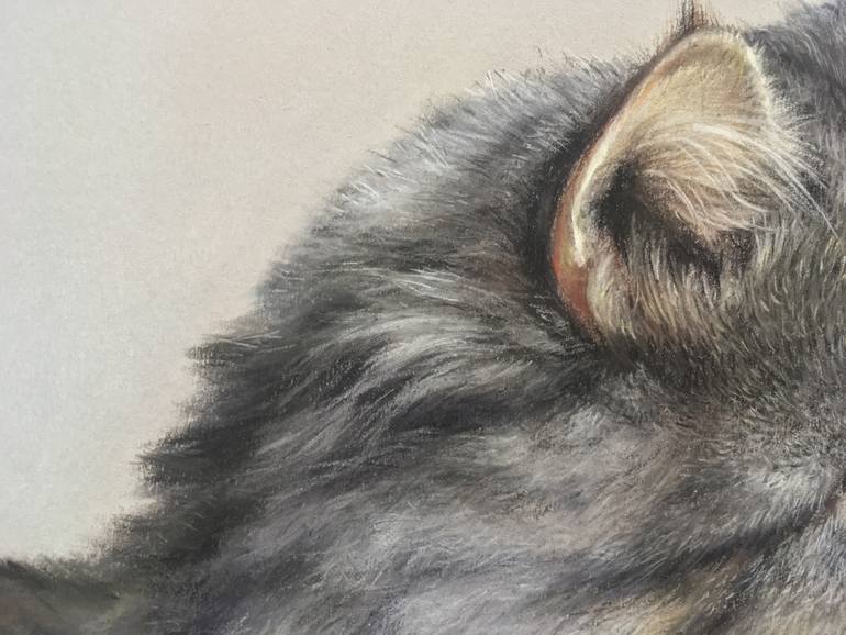 Original Realism Animal Drawing by Juan Pastor De La Puente