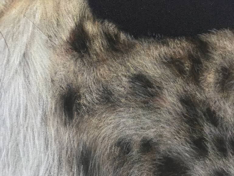 Original Realism Animal Drawing by Juan Pastor De La Puente