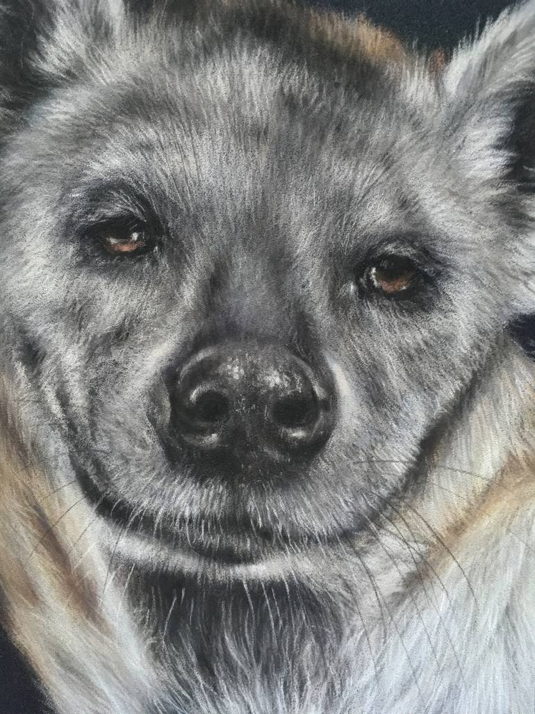 Original Realism Animal Drawing by Juan Pastor De La Puente