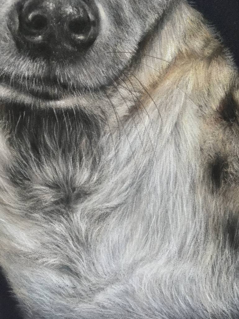 Original Realism Animal Drawing by Juan Pastor De La Puente