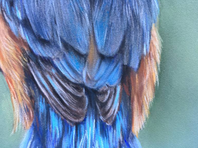 Original Realism Animal Drawing by Juan Pastor De La Puente