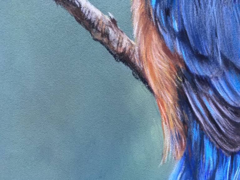 Original Realism Animal Drawing by Juan Pastor De La Puente