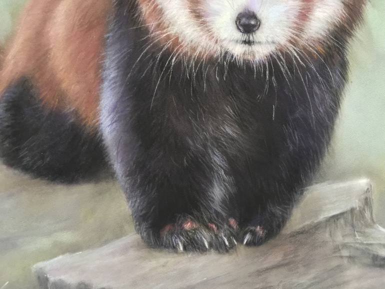 Original Realism Animal Drawing by Juan Pastor De La Puente