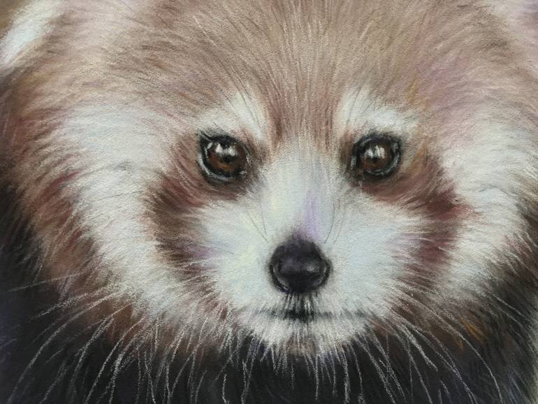 Original Realism Animal Drawing by Juan Pastor De La Puente