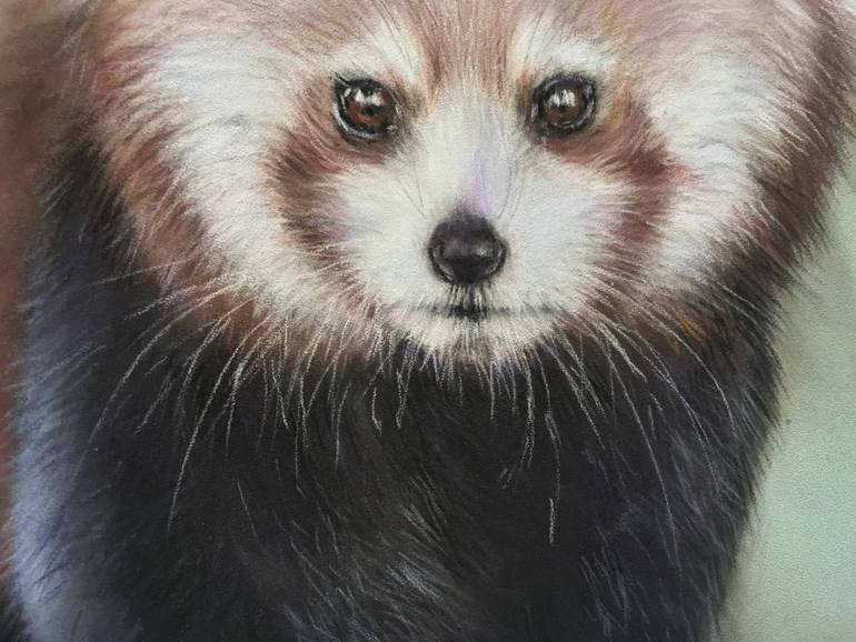 Original Realism Animal Drawing by Juan Pastor De La Puente