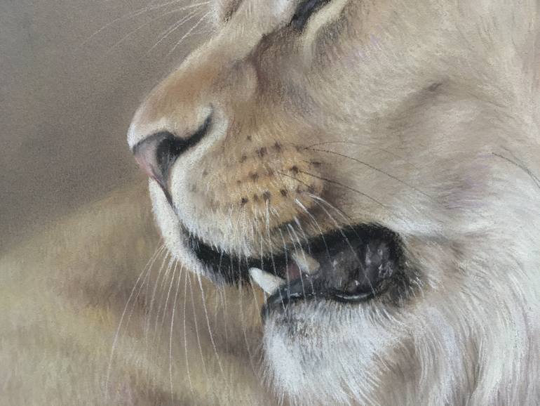 Original Realism Animal Drawing by Juan Pastor De La Puente