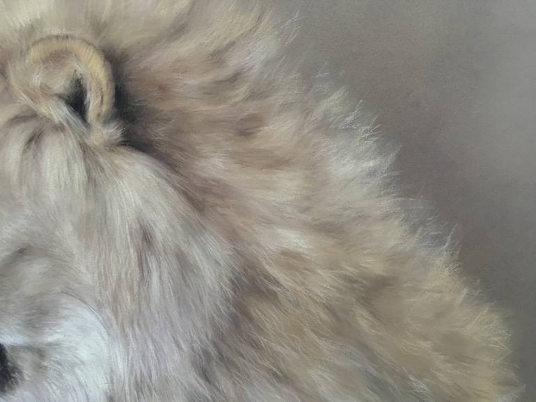 Original Realism Animal Drawing by Juan Pastor De La Puente