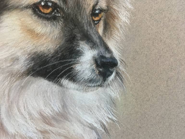 Original Realism Animal Drawing by Juan Pastor De La Puente