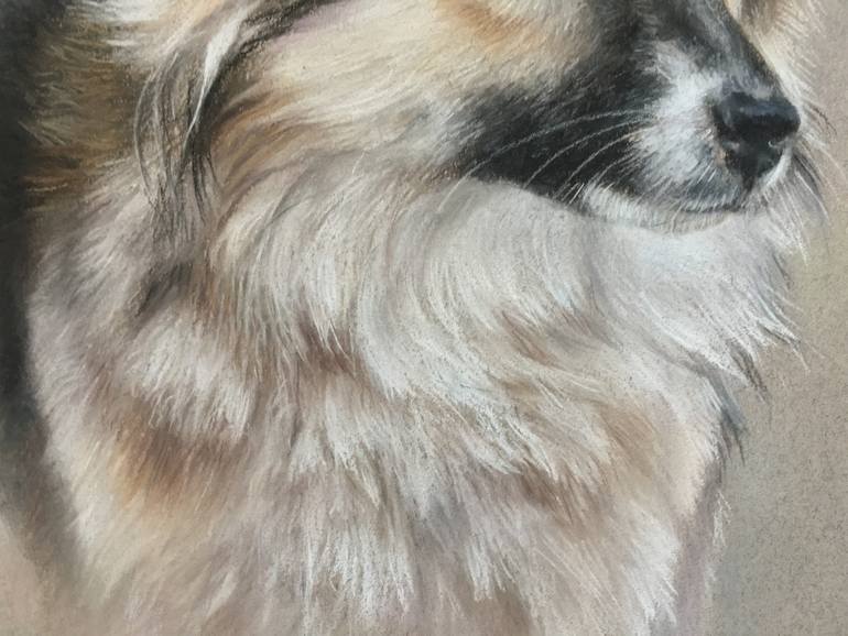 Original Realism Animal Drawing by Juan Pastor De La Puente